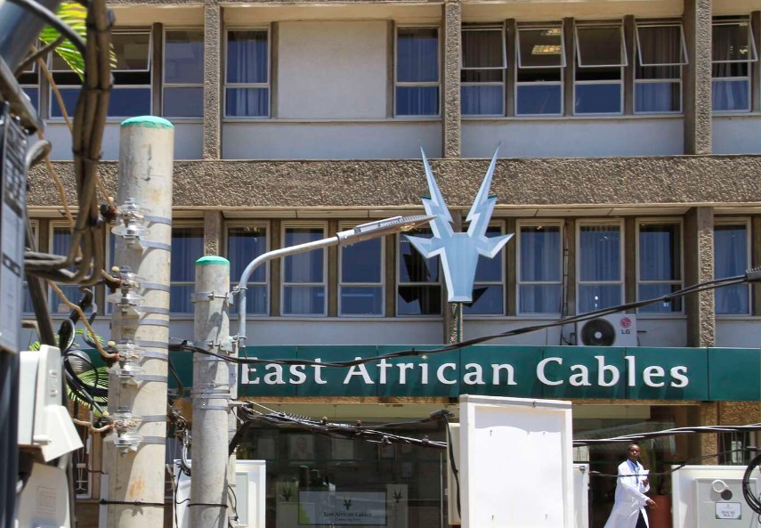East African Cables Sales 51 Percent Share Issue In Tanzania